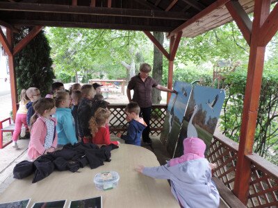                                                                                                                                 