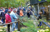 Earth Day Walk in the Miocene Prehistoric World at Ipolytarnoc Geosite