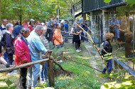 Earth Day Walk in the Miocene Prehistoric World at Ipolytarnoc Geosite