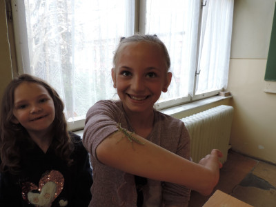                                                                                                                                 