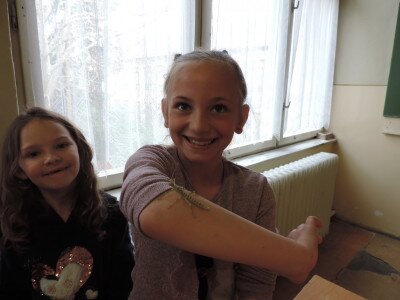                                                                                                                                 