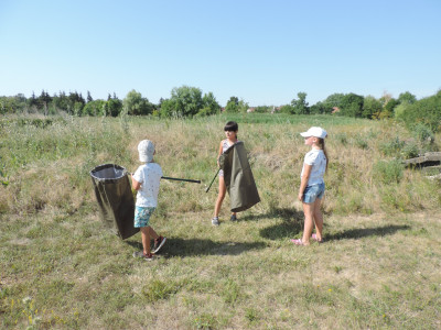                                                                                                                                 