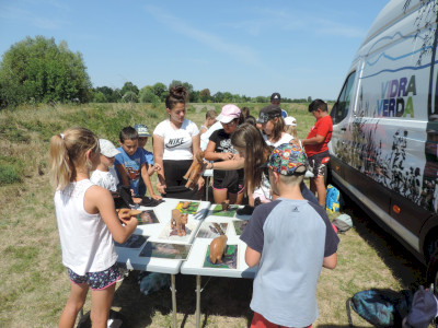                                                                                                                                 