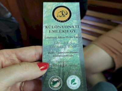 20240615_131922_1080