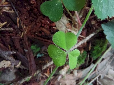 20240615_135852_1920