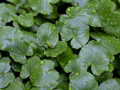 448273574_880542517449722_8618192502038359854_n_1920