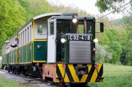 Ehető Erdő Szeleta Szerelvény gasztroexpressz