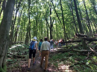 20240615_143223_1920