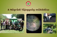 Előadás a Nógrádi Tájegység működéséről