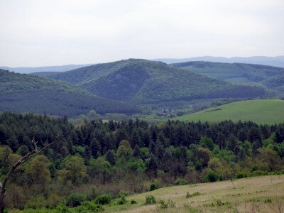P1330708