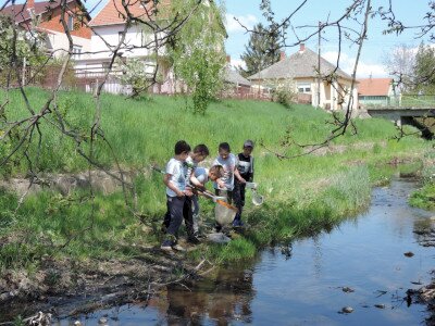                                                                                                                                 