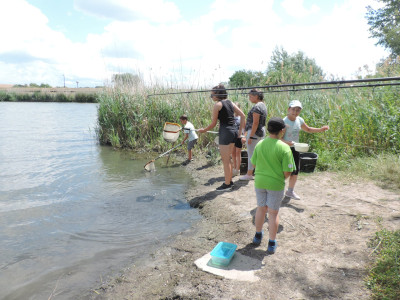                                                                                                                                 