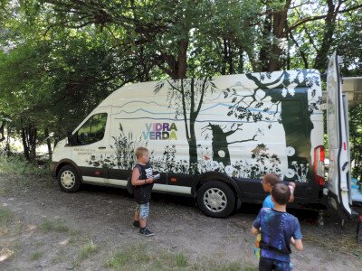                                                                                                                                 