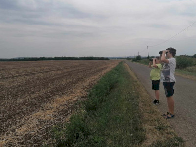 26. kép_Egy utolsó megfigyelés, ellenőrzés
