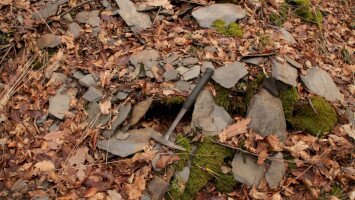 Földtani barangolások geotúra-sorozat III. - Geotúra a Zsindelybánya-lápa térségében