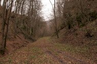 Földtani barangolások geotúra-sorozat III. - Geotúra a Zsindelybánya-lápa térségében