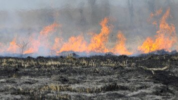 Füstbe ment fészekaljak – Tűzesetek a Taktaközben