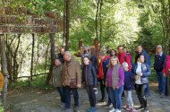 ipolytarnóc, geotóp nap, bükki nemzeti park igazgatóság, ősmaradványok