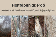 Holtfában az erdő - természetvédelem előadás a Nógrádi Tájegységben