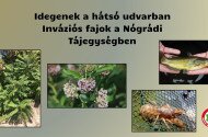 Idegenek a hátsó udvarban - Inváziós fajok a Nógrádi Tájegységben