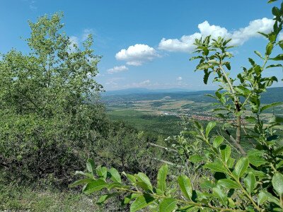 IMG_20260623_104030