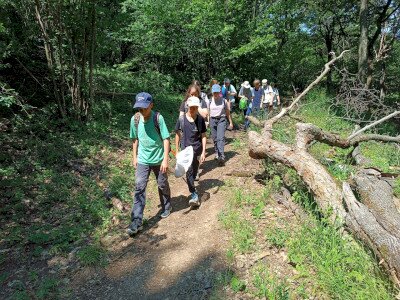 IMG_20260623_112954