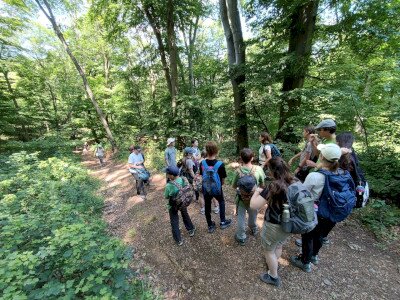 IMG_20260623_113237