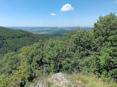 IMG_20260625_130206