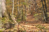 Náučný chodník Felsőtárkány – Vár-hegy 