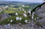 Bélapátfalva - Bél-kői Tanösvény