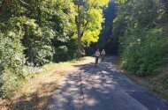 Vezetett e-bike túrák a Szeleta Parkból