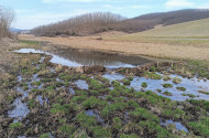 Természetmegőrzési Műhely - 