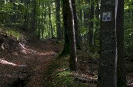 Bélapátfalva - Szilvásvárad, Kelemen széke tanösvény