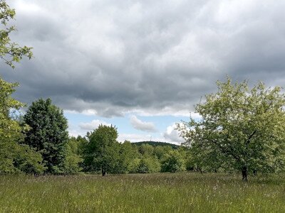 IMG_20250520_142114 (1)_1920