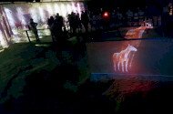 Miocene time travel at Ipolytarnoc Fossils