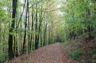 Répáshuta - Rejteki természetismereti tanösvény I. (kis kör)