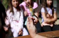 „A Tanár Úr válaszol” – Madárgyűrűzés a Szitakötő-kutatóháznál a Miskolci Herman Ottó Gimnázium közreműködésével
