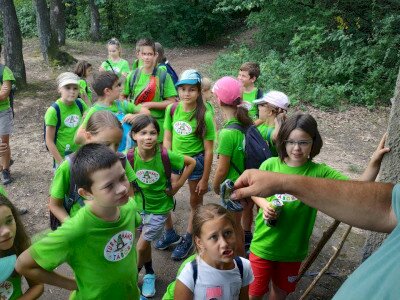 IMG_20200811_135709
