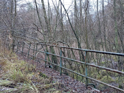 A medence a beruházás megkezdése előtt_LZs