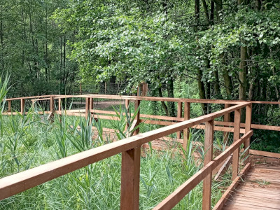 Vizes élőhely bemutatása pallós tanösvényről