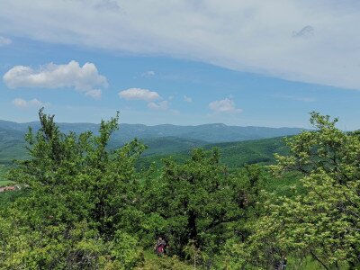 IMG_20220521_124440