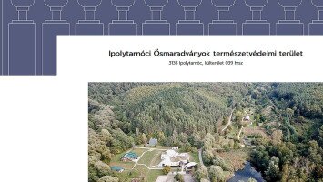 Kulturális Örökség Helyszín az Ősvilági Pompeji