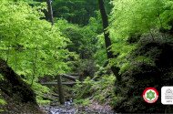 Magyar Nemzeti Parkok Hete: Túra a Gortva-völgyben