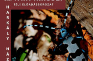 Mátra Kincsei Téli Előadássorozat