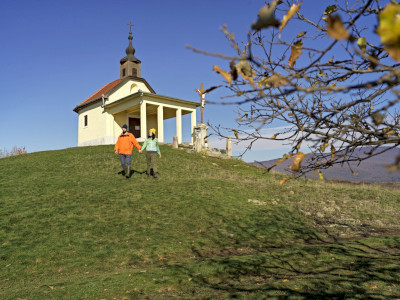 sárhegy_B_49473