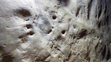 Medvekutya nyomában az Ősmaradványoknál