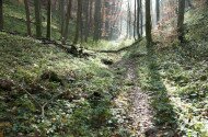Répáshuta - Rejteki tanösvény II. (nagy kör)