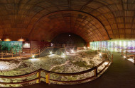 Miocene time travel at Ipolytarnoc Fossils