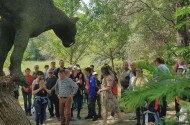 Mother Earth Day at the Miocene Park of Ipolytarnoc