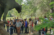 Mother Earth Day at the Miocene Park of Ipolytarnoc